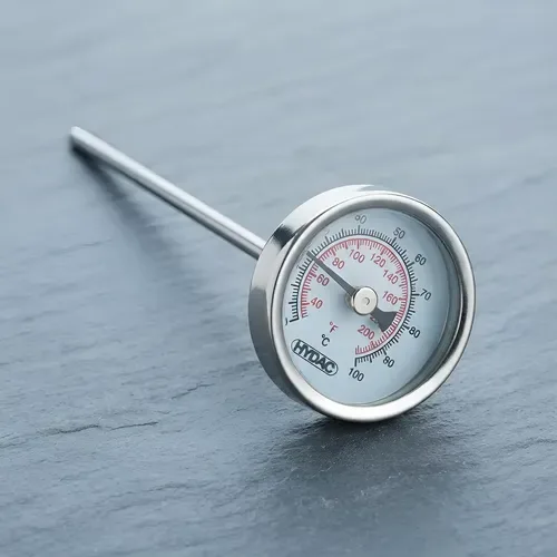 Termômetro Ambiental Analógico Hydac 100°c Haste 173mm